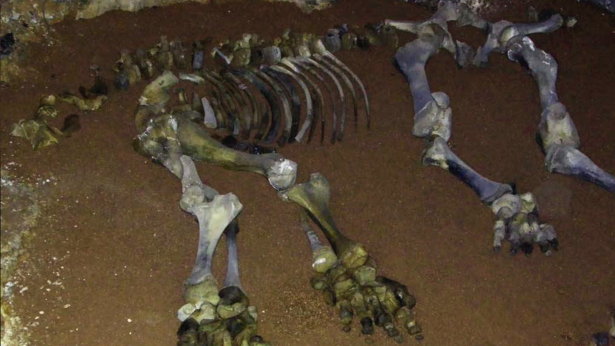 Пещера Эмине-Баир-Хосар иллюстрация 4