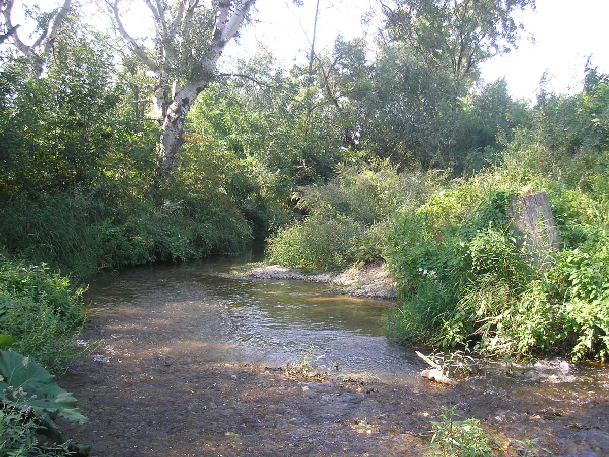 Река Альма иллюстрация 0