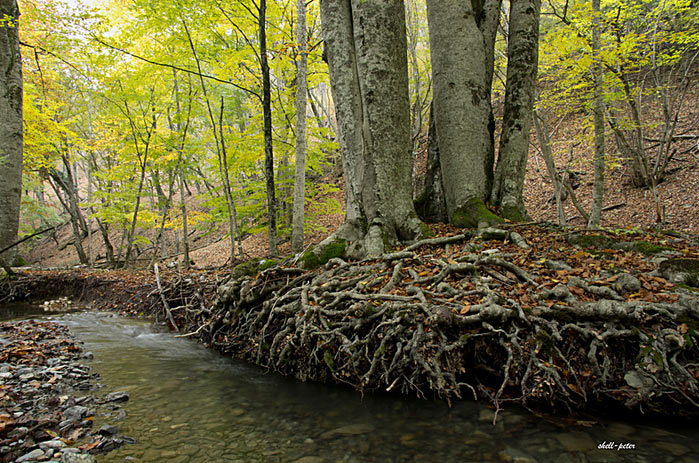 Река Альма иллюстрация 2