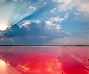 Озеро Сасык-Сиваш - иллюстрация 6