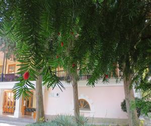 Музей Пушкина в Гурзуфе - иллюстрация 4